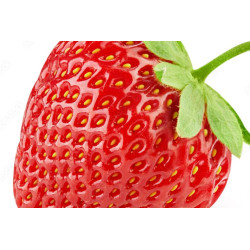 Obraz Strawberry isolated...