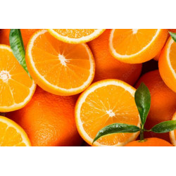 Obraz slices of citrus...